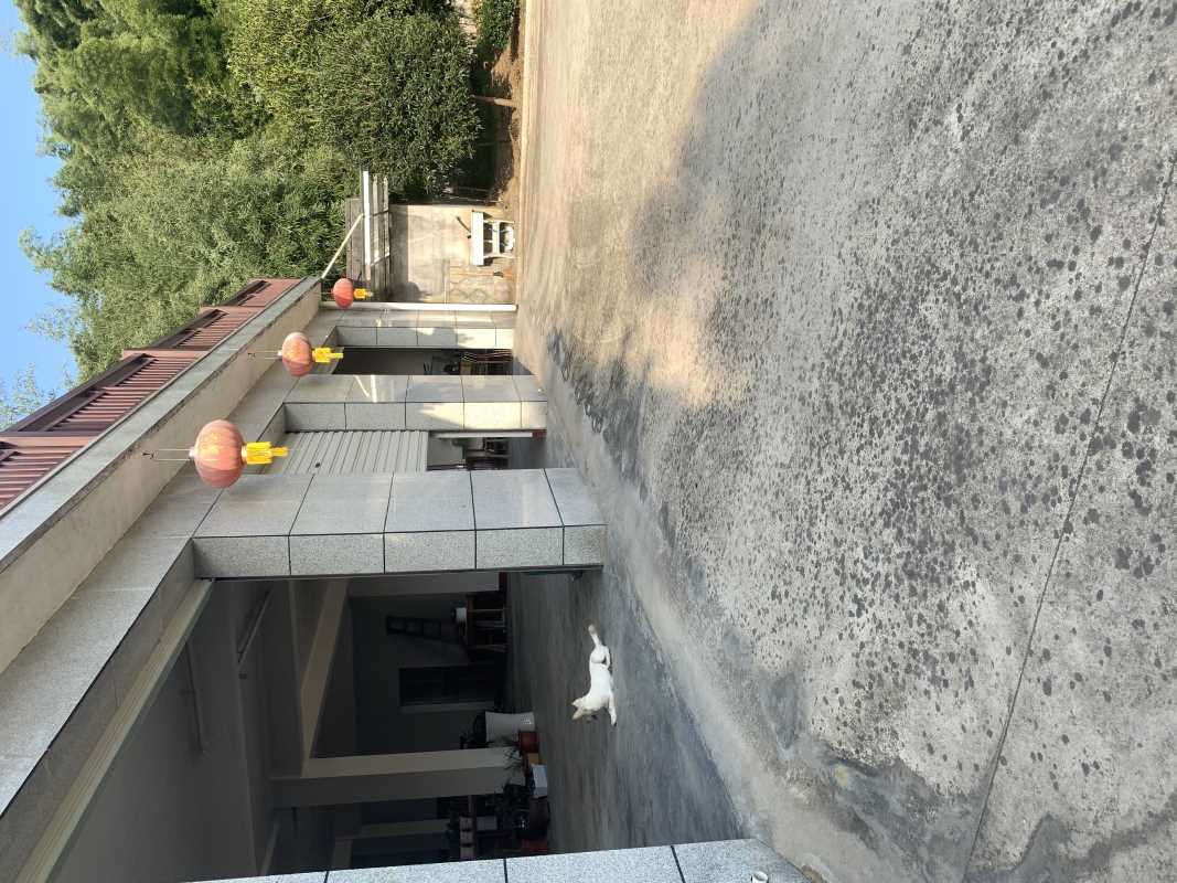 ������ֿ⳧��