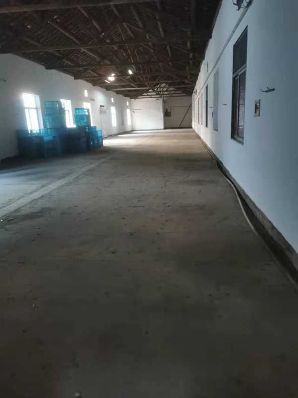 ���Ŵ���סլ