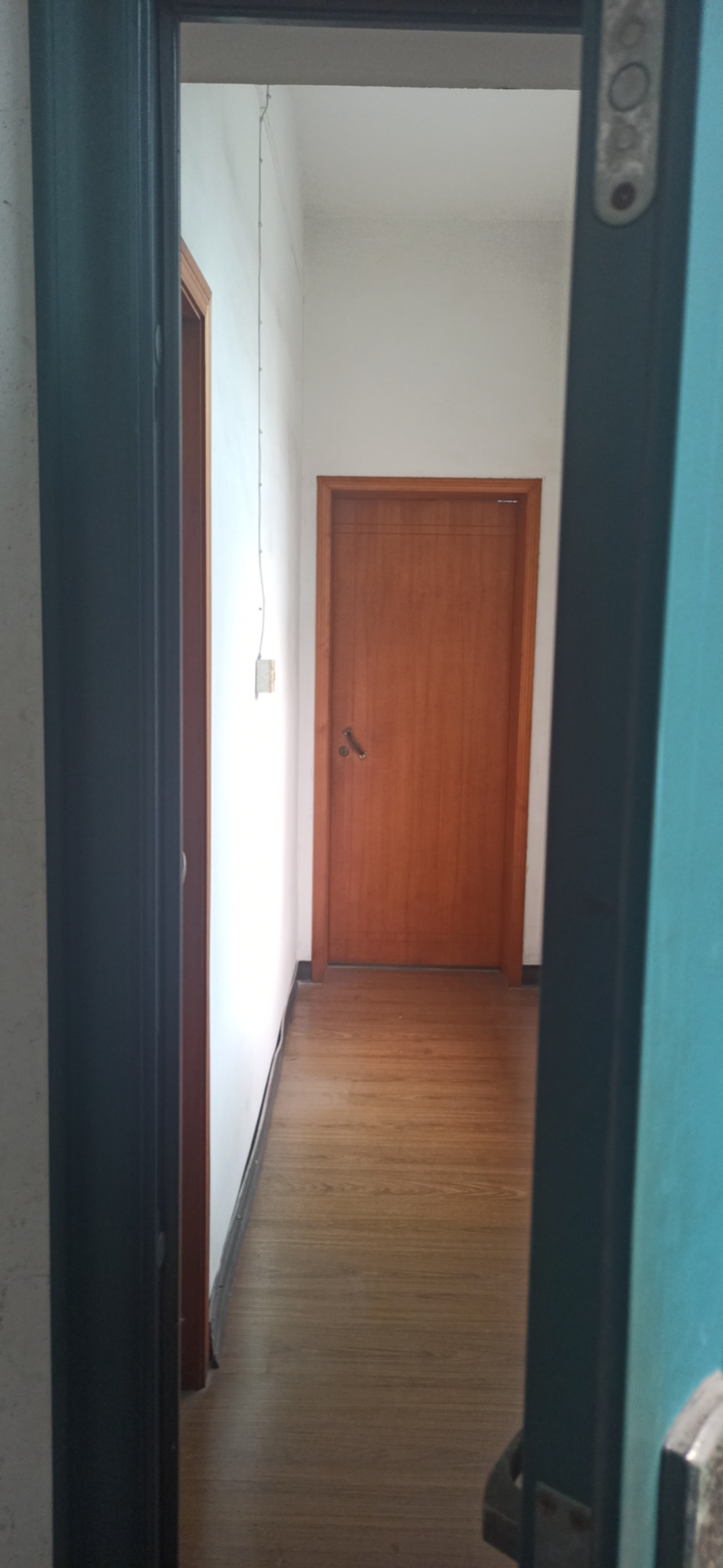 �����79�Ŷ��סլ