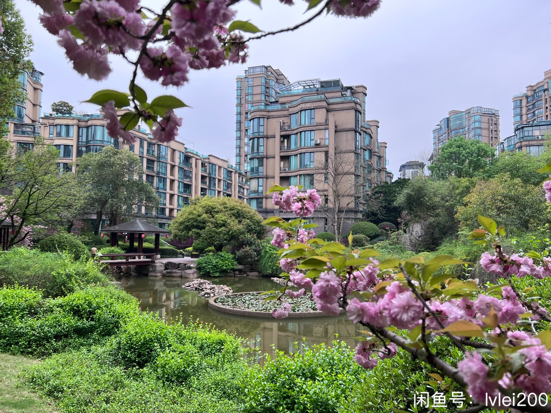 ���컨԰���סլ